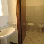 Pineta Apartment